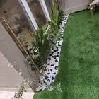 منسق حدائق وتركيب جميع شبكات الري العادي والاتمتك