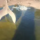 وز و بط و الخ الخ الخ