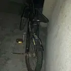 رامبو مقاس20