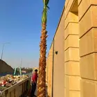 جميع المقاسات متوفره توصيل جميع انحا المملكه