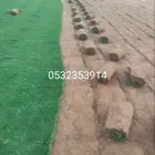 نعجان الخرج