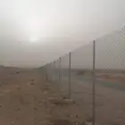 نعمل في مجال النخيل والشبوك