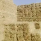 سلام عليكم ورحمة الله وبركاته