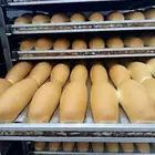 مطلوب مخبز لا ايجار او بالنسبة يكون في جدة او مكة بكامل عدتة