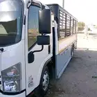 دينا نقل عفش