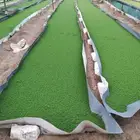 ازولا للبيع وبسعر خاص ولفترة محدوده