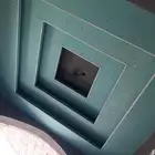 معلم مصري جبسون بورد