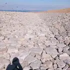 معلم جحر رباريب تالبيس مشيات قوايم