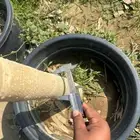 مشتل الجموم الجميع انواع شتلات