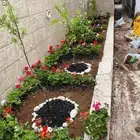 مشاتل تنسيق الحد ائق