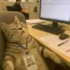 تحديث سرعة الالياف والاجهزه مجانا وتركب بدون ولا ريال وأقوى