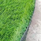 عشب صناعي ثيل صناعي