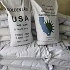 بذور برسيم امريكي