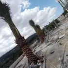 مشاتل