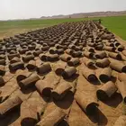 مسطحات خضراء