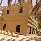 لي اعمالي التراثيه في المدينة المنورة في خدمتكم مجالس تراثيه