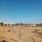 شبوك عامه
