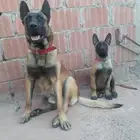 للي يلاقي صحباتي يتواصل معي
