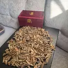 عود