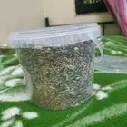 طير روز أليف