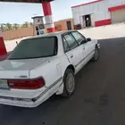 كرسيدا