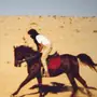 حصان للبيع