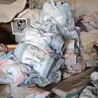 عندي أكياس فاضي الشعير والذرة وازولا