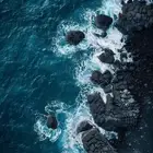 سايق