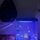 للبيع حوض سمك