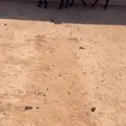 شاميات دفيع البيع سمح