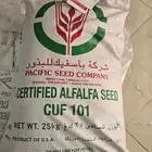 للبيع بذور برسيم باسفيك كاف 101