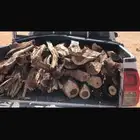 حطب سمر للبيع