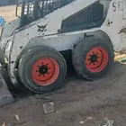 بوبكات للبيع