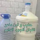 سمن و زبدة و حليب و لبن ماعز و غنم طازج يوميا رعي بري