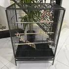 قفص ببغاء