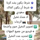 مطلوب نخيل للبيع من 4متر وافوق   عندك نخيل للبيع توصل معي