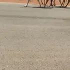 للبيع وضحاء لقحة بكر كفووو