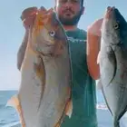 رحلات بحرية ونزهة