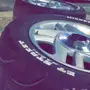 جنوط للبيع 
