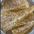 عسل سدره شمع وسايل نحل بلدي مشروط