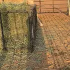للبيع شقحاء تحتها قعود