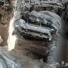 يوجد جميع انواع الكائن