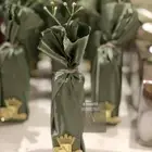 توزيعات مواليد