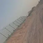شبوك