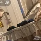 سرير