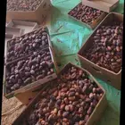 يوجد لدينا عمال صرام بااقل الاسعار