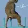 يا قوم هلمو 