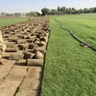 نجيله ثيل طبيعي سي 2000 -   مضمون مياه ابار