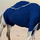 اجلة أبل