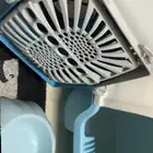 مستلزمات قطط